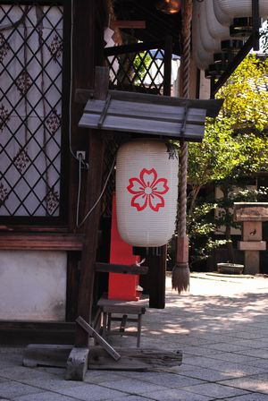 縣神社 桜の社紋