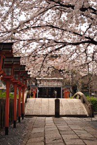 六孫王神社 恋のかけ橋その１