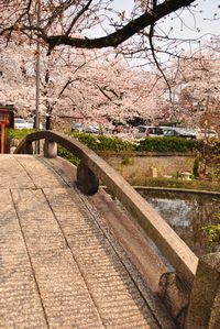 六孫王神社 恋のかけ橋その２