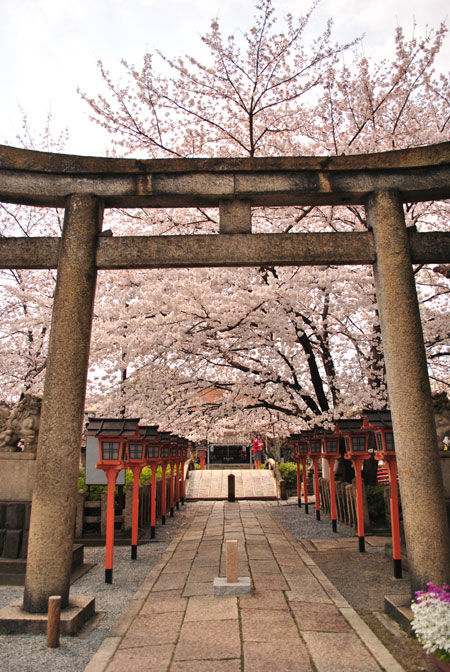 六孫王神社 鳥居