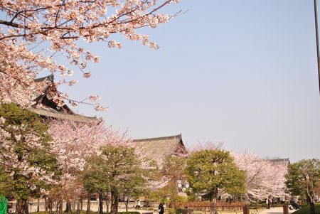 東寺　仏法僧