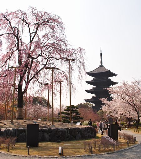 東寺　五重塔