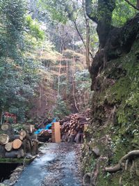 滝宮神社 お滝１