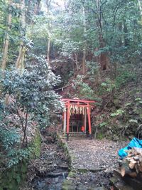 滝宮神社 お滝２