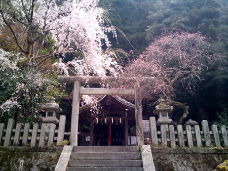 大豊神社　本殿