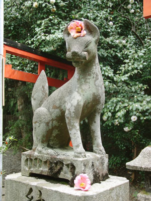 大豊神社 狛狐