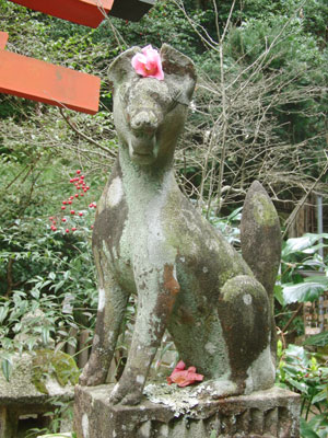 大豊神社 狛狐