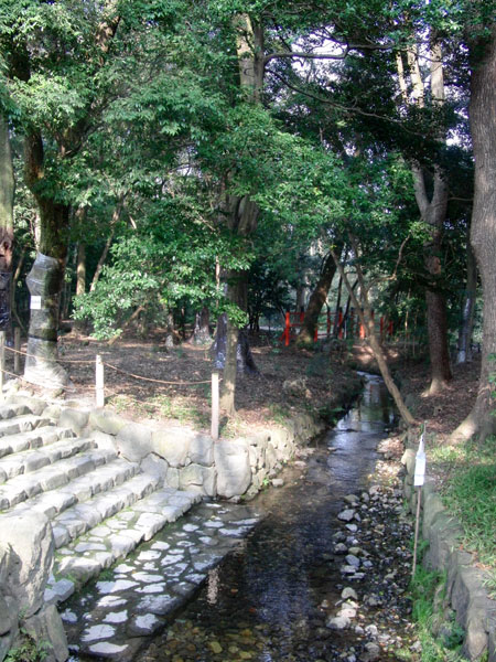 下鴨神社　糺の森