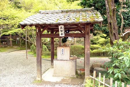 今熊野観音寺 五智の井