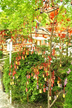 上賀茂神社 願い筒