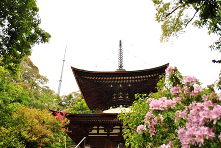 石山寺　多宝塔