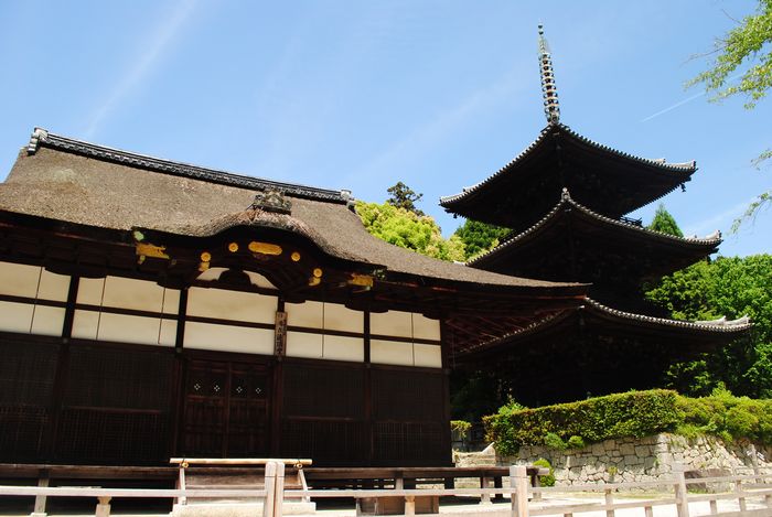 三井寺　唐院