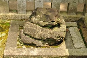 吉田神社　蒼龍