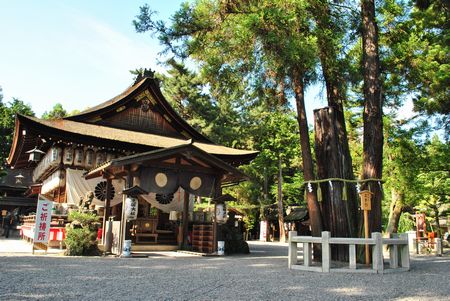 建部大社　三本杉