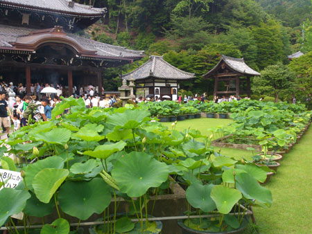 三室戸寺　本堂