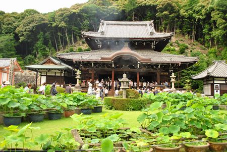 三室戸寺　本堂前