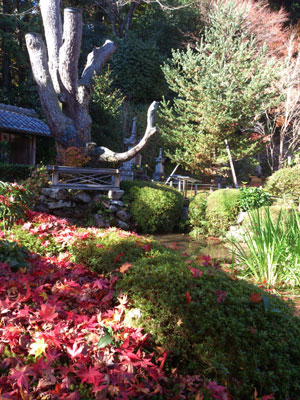 寂光院　庭園