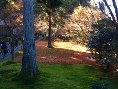 三千院 有清園