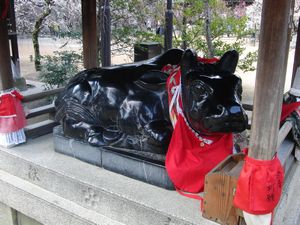 北野天満宮 撫で牛