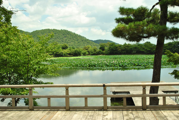 大覚寺 大沢池