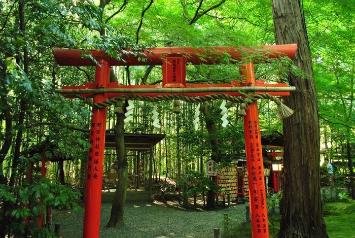 野宮神社　白峰稲荷