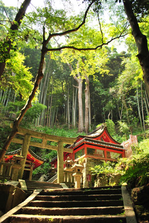 石清水八幡宮　岩清水社