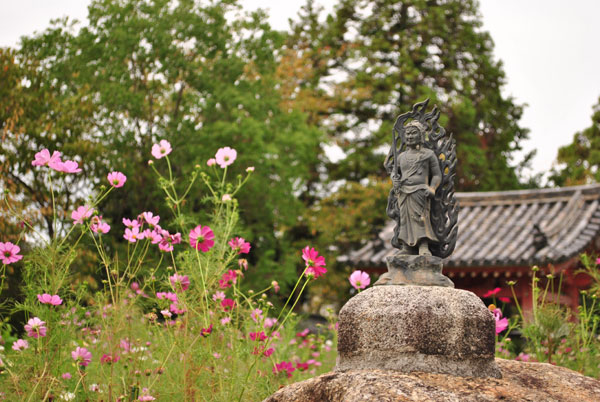 般若寺 不動明王