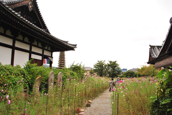 般若寺 参道