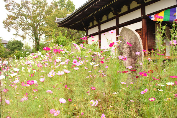 般若寺 石仏