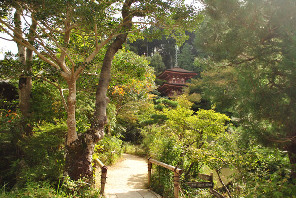 浄瑠璃寺 三重塔