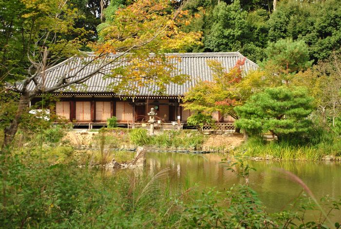 極楽浄土　九体阿弥陀堂