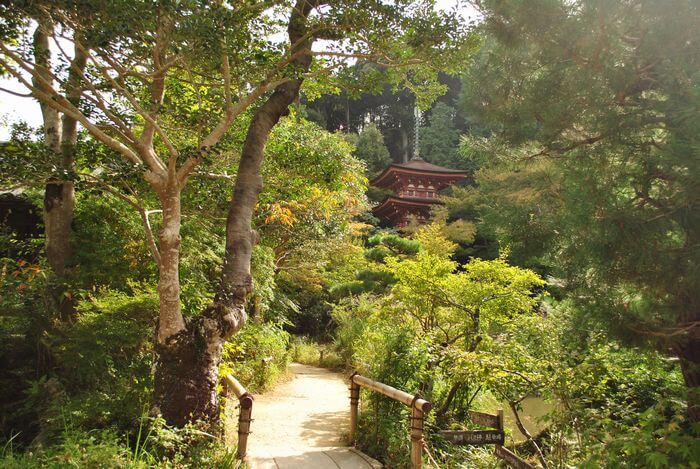 浄瑠璃寺　三重塔