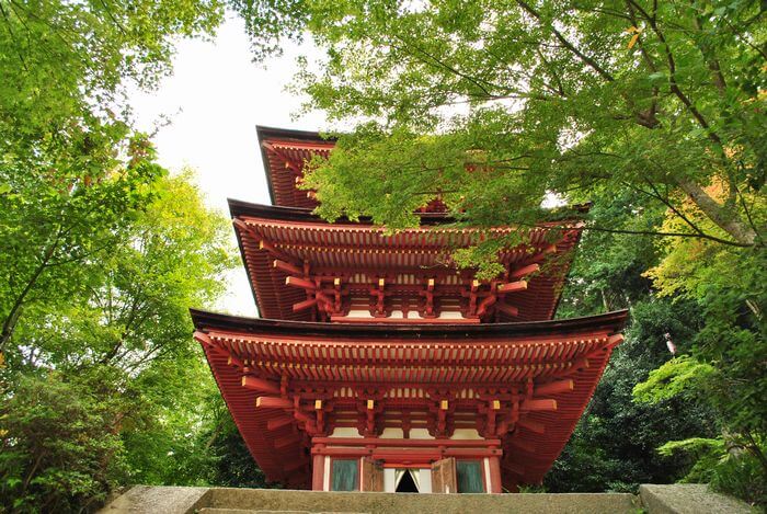 浄瑠璃寺 三重塔