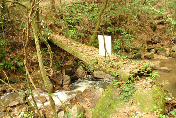 当尾 奥の院 橋