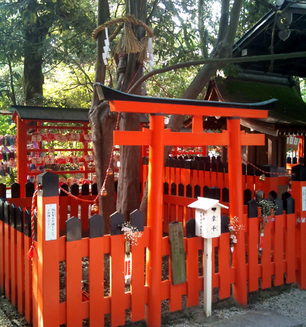 下鴨神社　連理の賢木