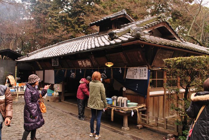 立木山　お茶所