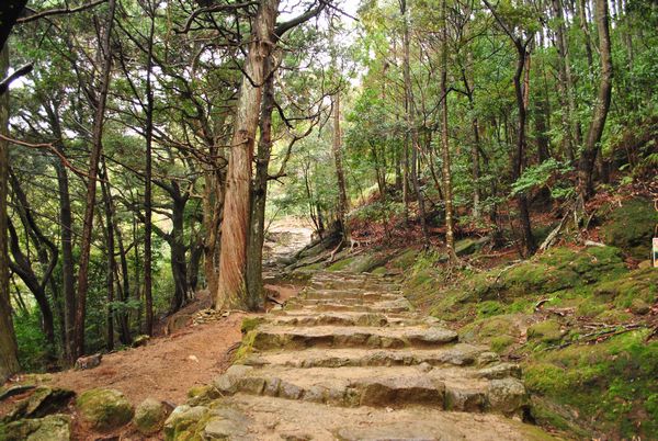 神倉神社　坂