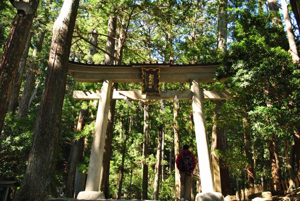 飛瀧神社