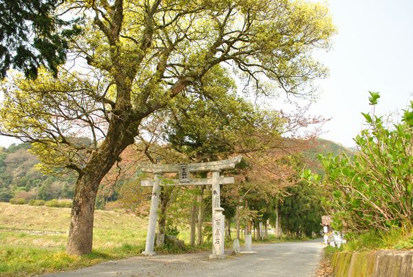 葛城一言主神社 第一鳥居