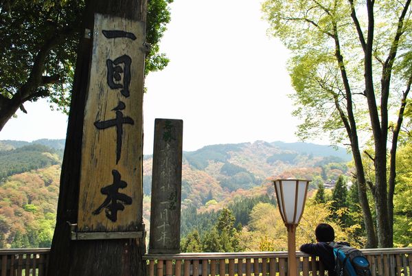 吉水神社　一目千本