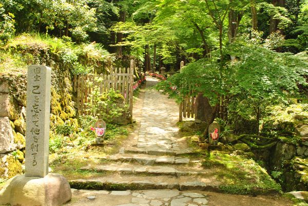 金剛輪寺　参道