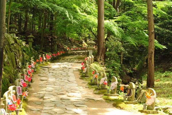 金剛輪寺　参道