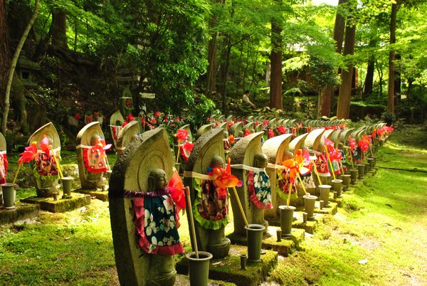 金剛輪寺　参道