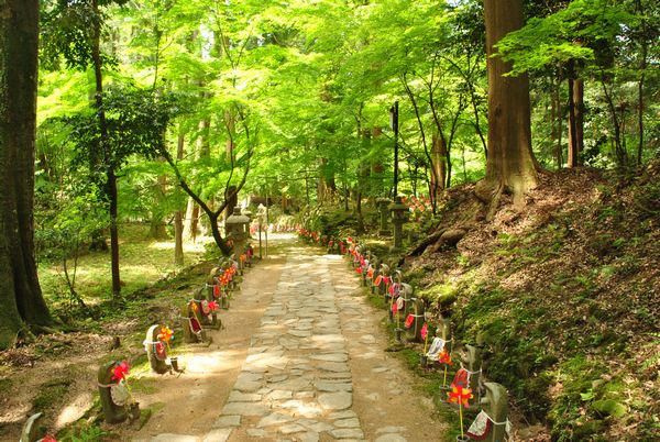 金剛輪寺　参道