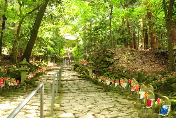 金剛輪寺　参道