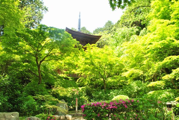 金剛輪寺　三重塔