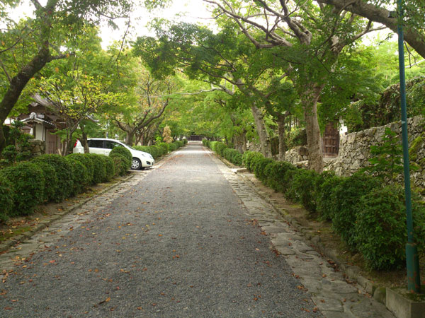 西教寺　参道