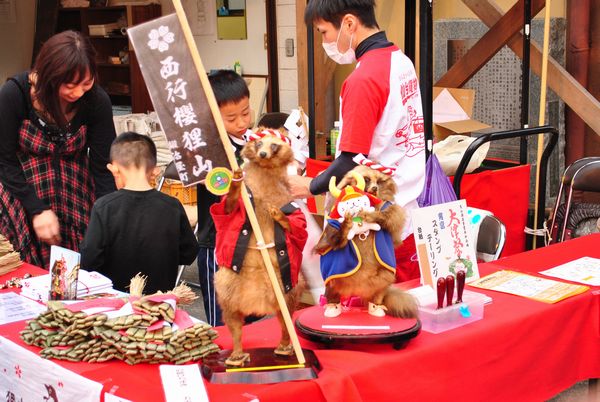 大津祭　西行桜狸山