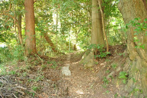 長等山　自然道