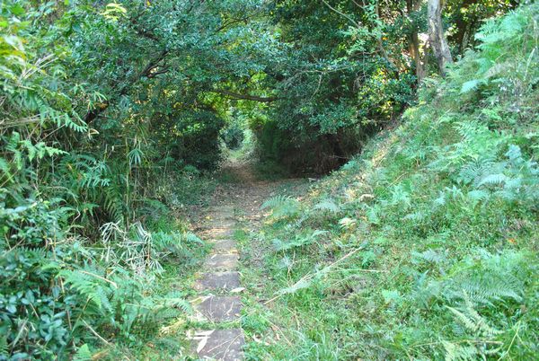 法明院　自然道